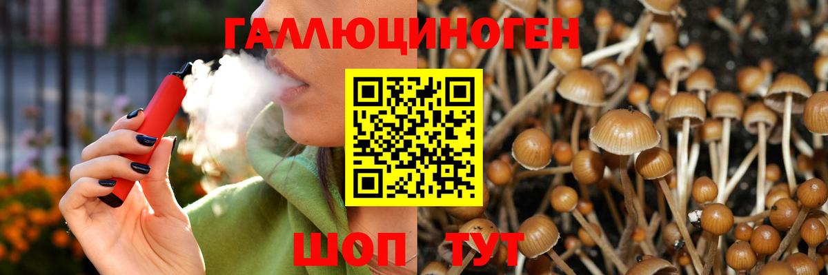Псилоцибиновые грибы Psilocybe  Псилоцибиновые грибы ЛСД  Канск  Вход с VPN 