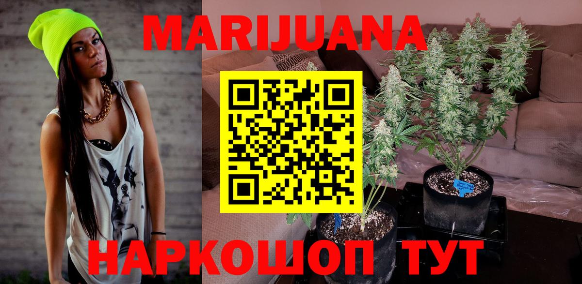 Бошки Шишки семена Канск